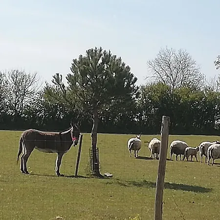 Meuble Independant A La Campagne * Trémentines